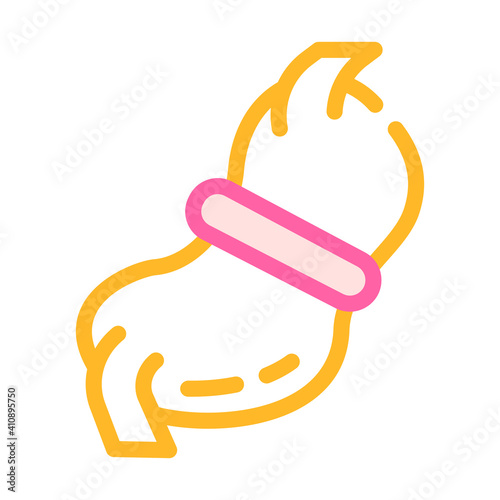 gastric bandage color icon vector illustration flat