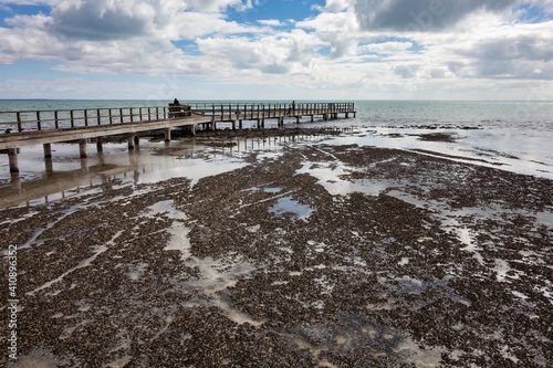 The rocky shore near the pier in Hamelin Pool Marine Nature Reserve in Shark Bay  Western Australia with stromatolites