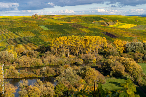 Weinberge auf der Weininsel zwischen Sommerach und Nordheim am Main an  der Vokacher Mainschleife, Landkreis Kitzingen, Unterfranken, Franken, Bayern, Deutschland photo