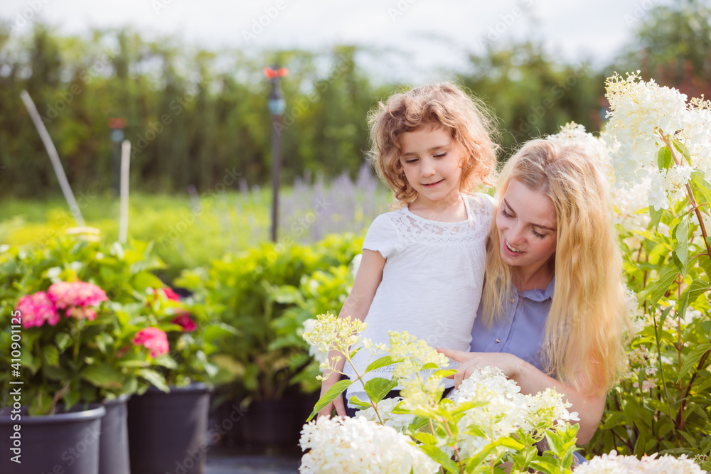Mother and daughter choose the hydrangeas for their garden