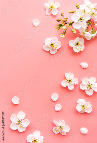Colorful Easter eggs with spring blossom flowers