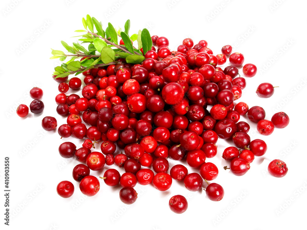 Small Cranberries on white Background Isolated Small Cranberries on white Background Isolated