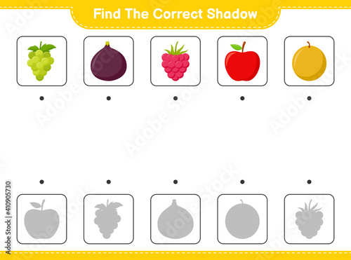 Find the correct shadow. Find and match the correct shadow of Fruits. Educational children game, printable worksheet, vector illustration
