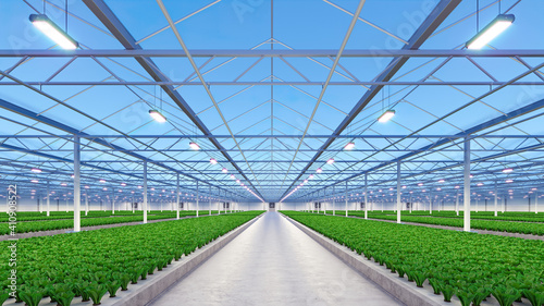 Photo Big industrial greenhouse interior