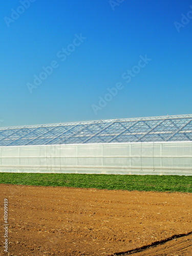 Wallpaper Mural 緑肥のある冬の畑と農業用ハウス Torontodigital.ca