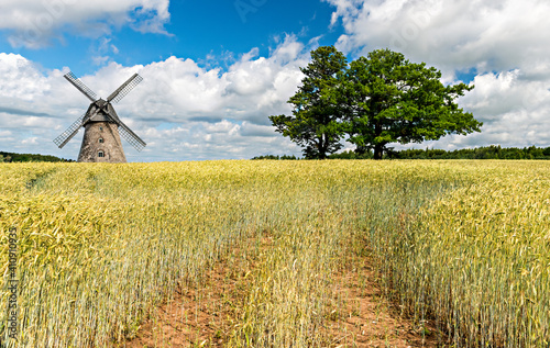 Countryside agricultural landscape with field of ripening wheat, old windmill...