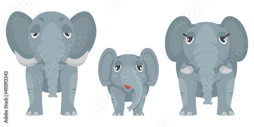 Elephant family front view. African animals in cartoon style.