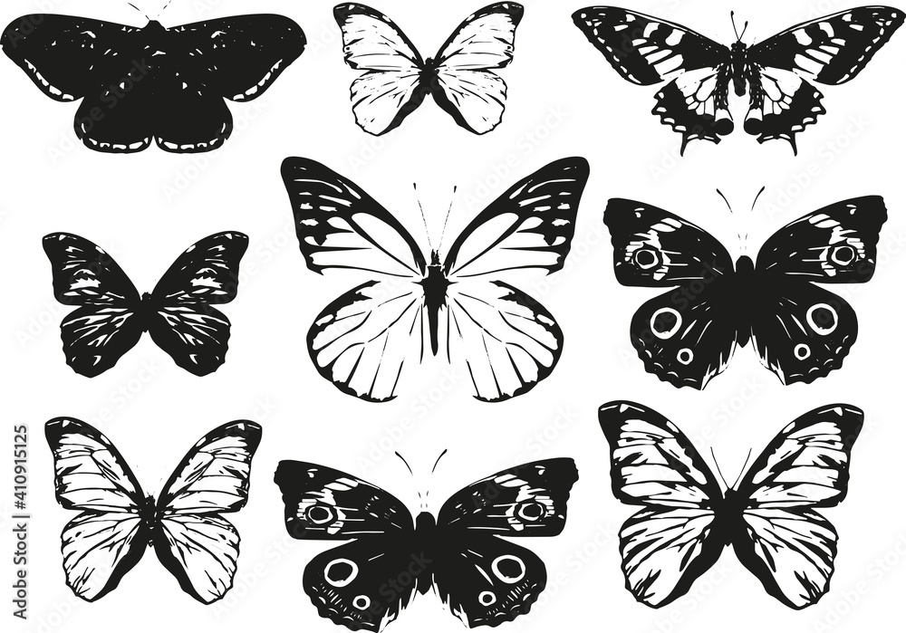 Set of black and white vector butterflies