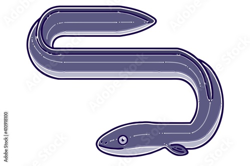 Eel(sea eel, pike eel). Colored Vector illustration.