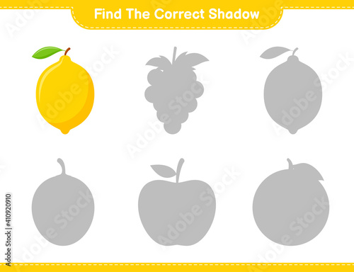 Find the correct shadow. Find and match the correct shadow of Lemon. Educational children game, printable worksheet, vector illustration