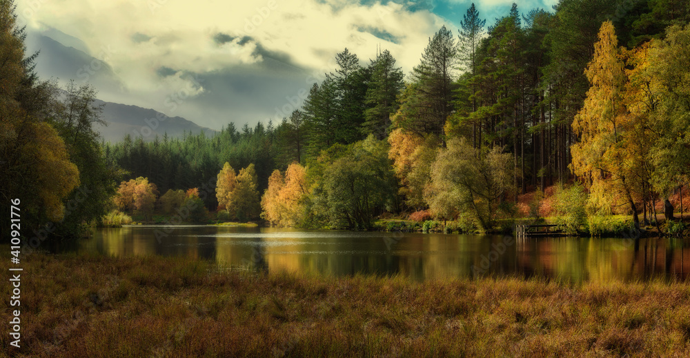 Obraz na płótnie Autumn woods on a lake in the mountains w salonie