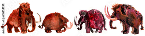 Photography Mammoths team, wild animals standing in a row