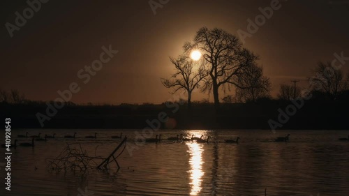 Winter Morning Riverside Sunrise with Ducks (Nottingham)
