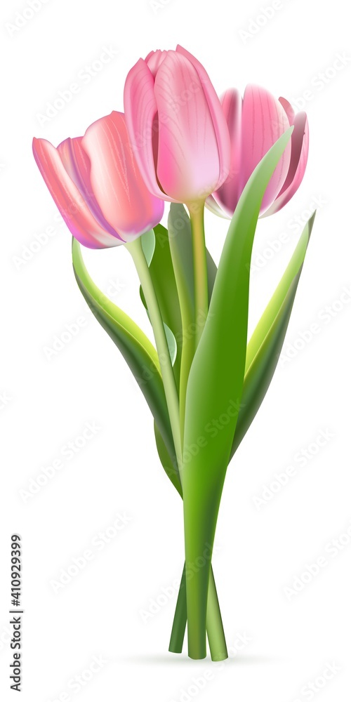 Bunch of pink tulips on white background. Realistic spring colorful flowers vector illustration. Floral decorative plants with petals and green leaves in blossom Bunch of pink tulips on white background. Realistic spring colorful flowers vector illustration. Floral decorative plants with petals and green leaves in blossom