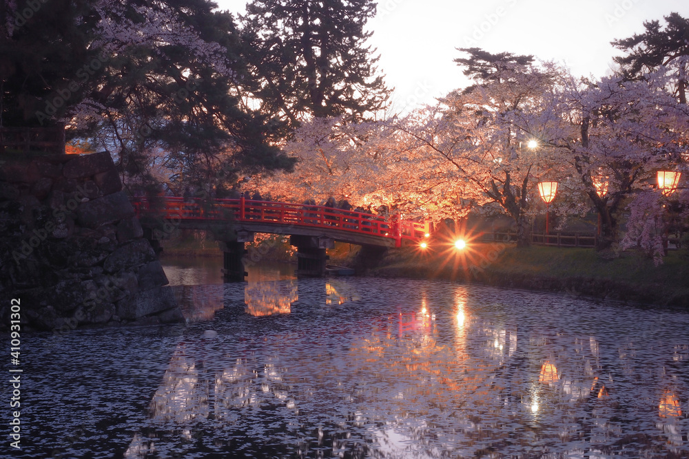 【青森】弘前公園の満開の桜とリフレクション