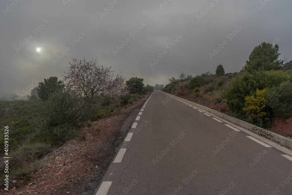 Carretera en la niebla