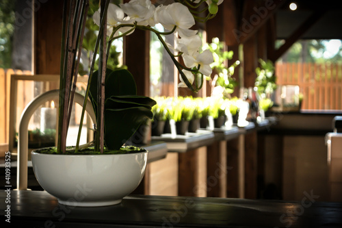 Wooden outdoor terrace decoration orchid in white pot photo