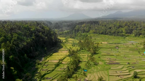 Aerial Rice terraces near Mahagiri drone view. Bali, Indonesia. photo