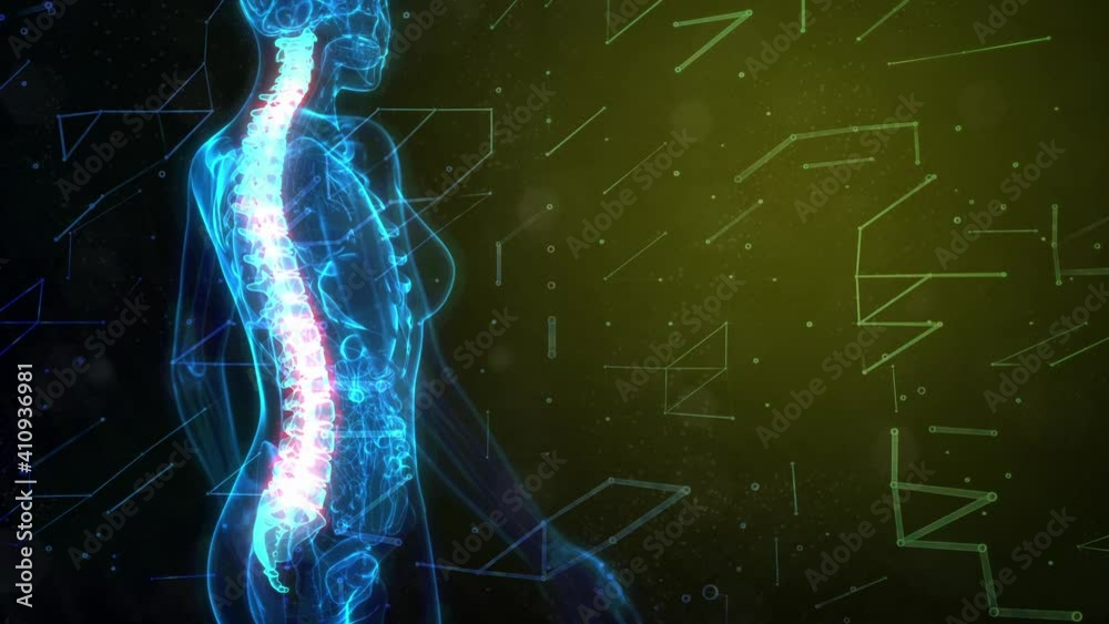 cg medical 3D animation, chine on x-ray body