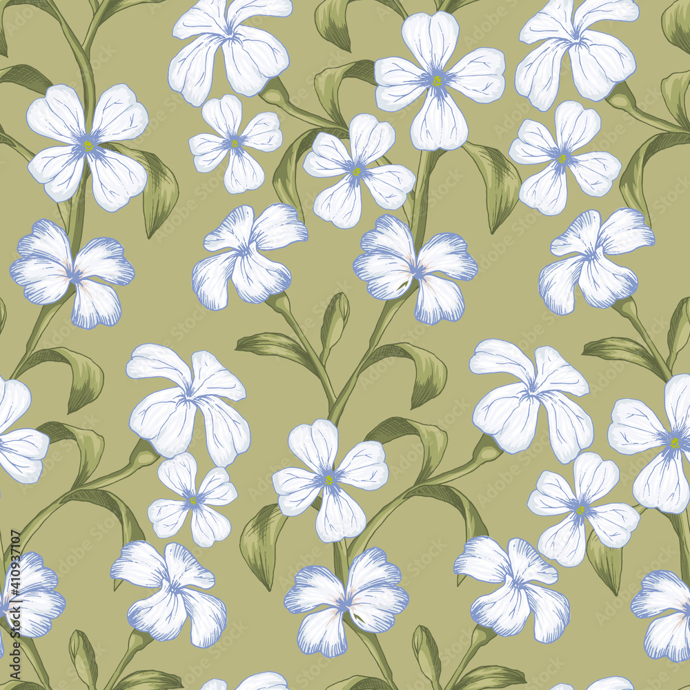 Malcolmia seamless pattern in white and beige colors