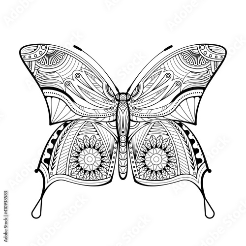 Butterfly coloring book style vector