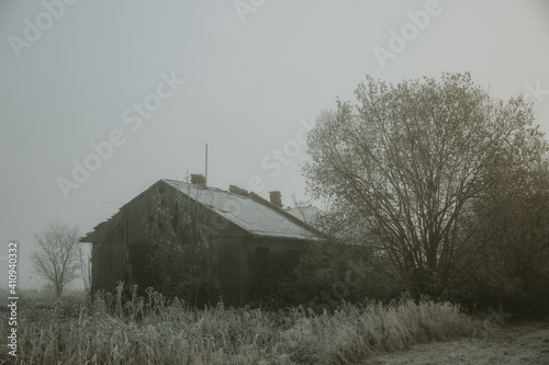 Old abandoned ruined house next to the tree during freezing foggy morning
