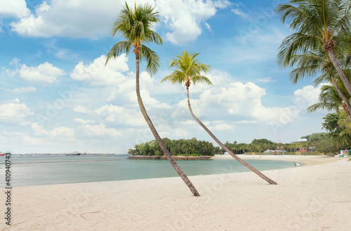 Tropical scenic view with coconut palm trees, ocean and white sandy beach. Exotic landscape. Holiday resort and vacation concept photo