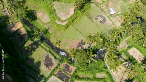 Aerial Rice terraces Tegalalang drone view. Bali, Indonesia. photo