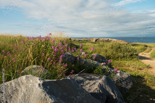 Along the coast photo