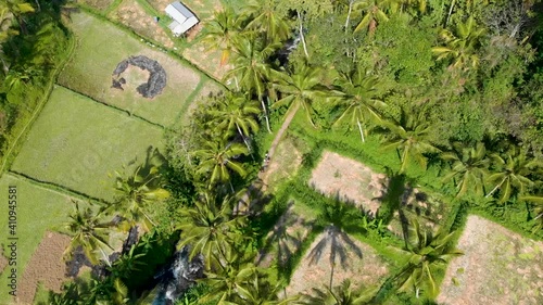 Aerial Rice terraces near Mahagiri drone view. Bali, Indonesia. photo