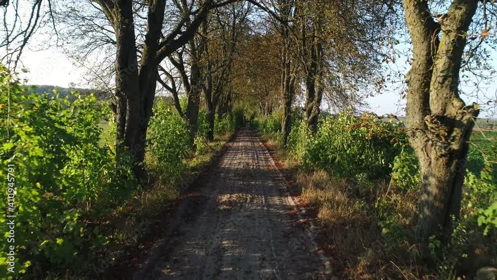 An atmospheric country road surrounded by old trees. Drone video. Early autumn An atmospheric country road surrounded by old trees. Drone video. Early autumn