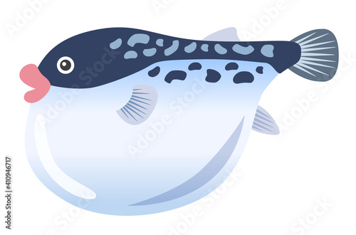 フグ　魚介類　生き物