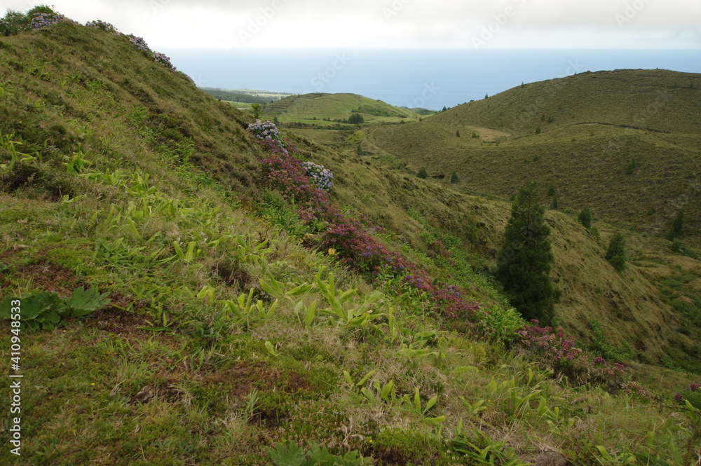 Azores islands, natural landscapes in Sao Miguel