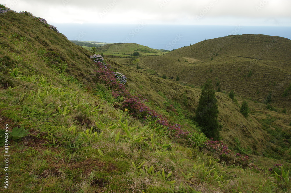 Fototapeta premium Azores islands, natural landscapes in Sao Miguel