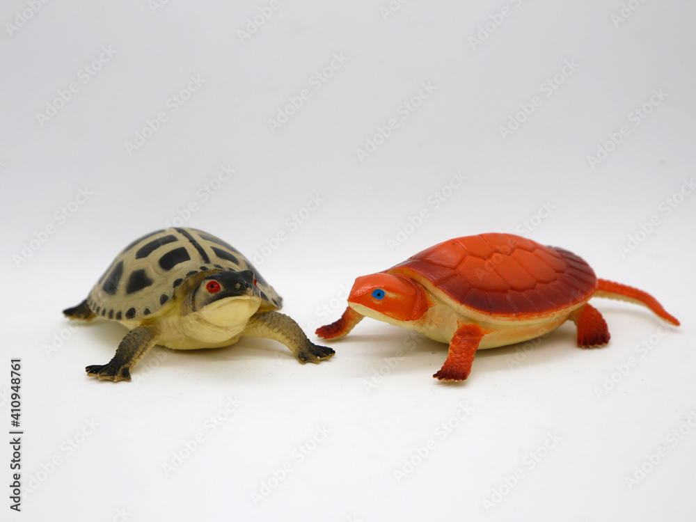 Two types of turtles. Turtle with a tail. Lizard tortoise. Red turtle