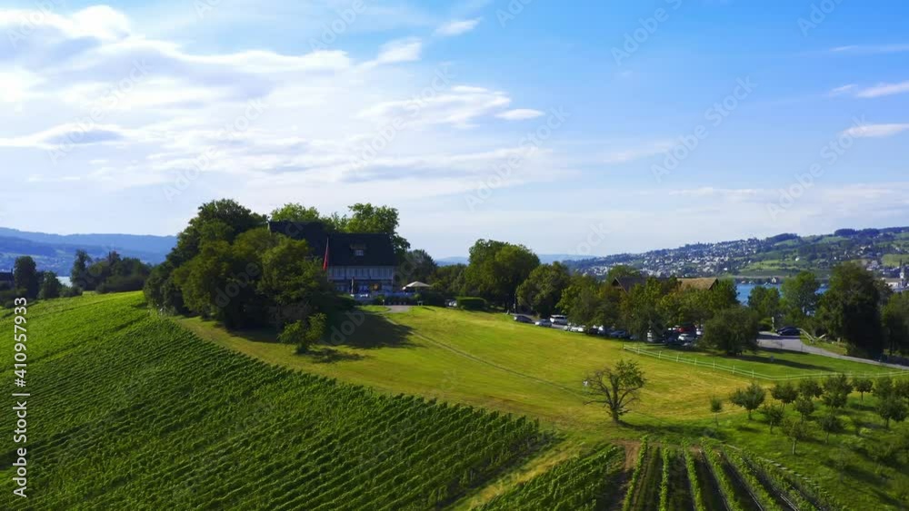 Aerial photography of the vineyard by the Lake Zurich, beautiful landscape in Switzerland, panoramic view of lake and town on the shore Aerial photography of the vineyard by the Lake Zurich, beautiful landscape in Switzerland, panoramic view of lake and town on the shore