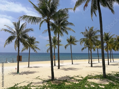 Fototapeta Naklejka Na Ścianę i Meble -  White sand beach with tall palm trees on Phu Quoc island in Vietnam