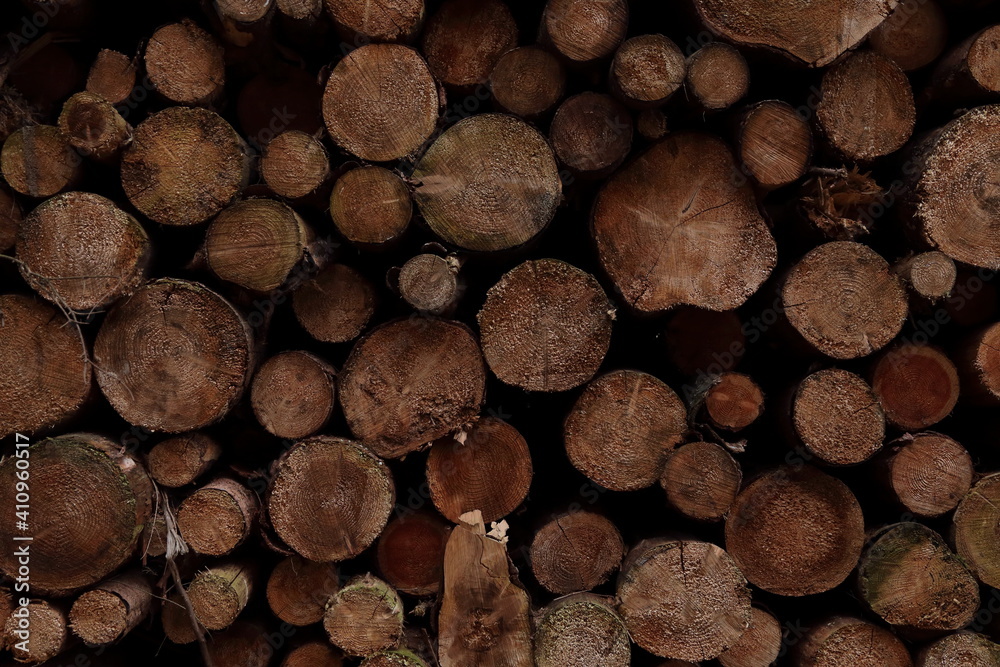 Fototapeta premium Holzstapel 2020