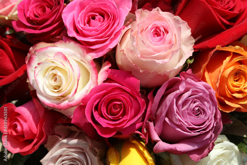 Bouquet of wonderful different colored Roses Bouquet of wonderful different colored Roses