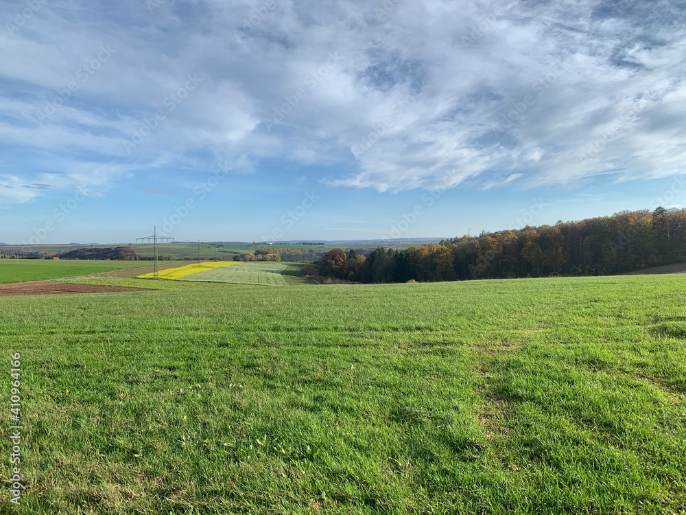 Obraz premium field and blue sky