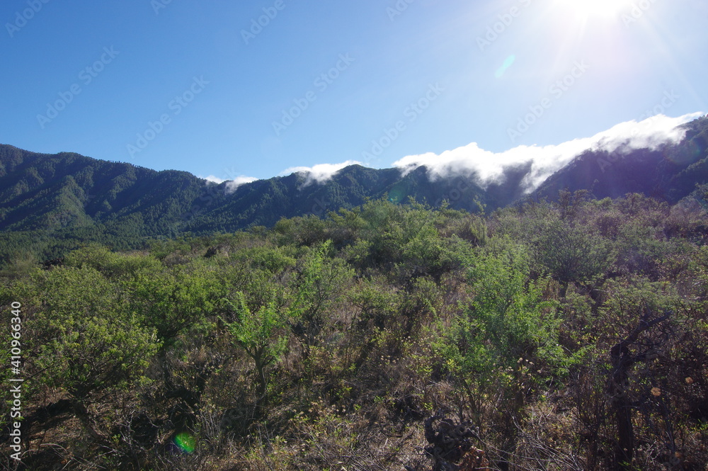 Obraz premium Paisajes de La Palma, islas canarias