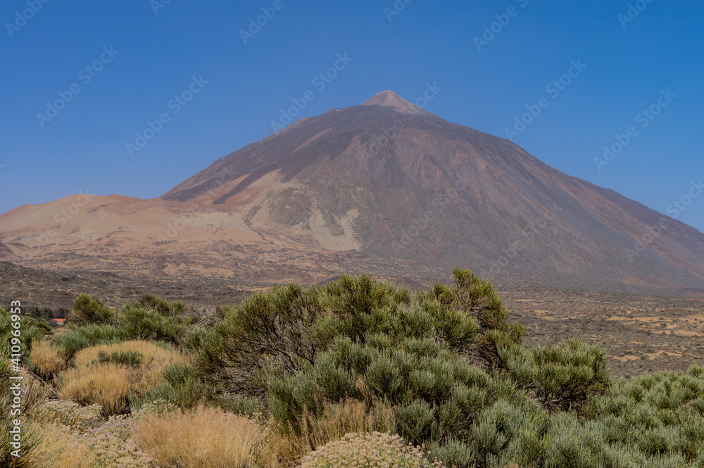 Naklejka premium Tenerife, islas Canarias