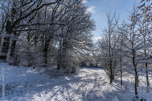 hiking path on a winter morning © roostler