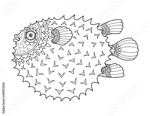 Puffer fish coloring page design clear background, mandalas design, and print design