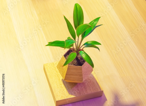 Hovering flying rotating in air potted plant pot on table in front of window decorative gadget for home decoration interior. photo