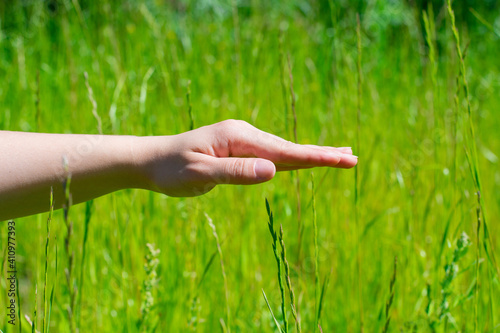 Young woman streches out hand with palm down and touches green grass at summertime on bright sunlight.