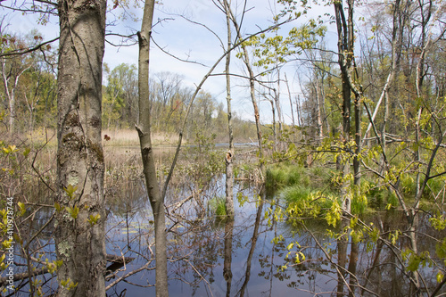 Watchung Reservation New Jersey photo