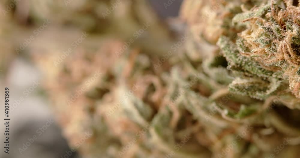 Closeup of dried Cannabis buds. Hemp flower out of focus and in focus Closeup of dried Cannabis buds. Hemp flower out of focus and in focus