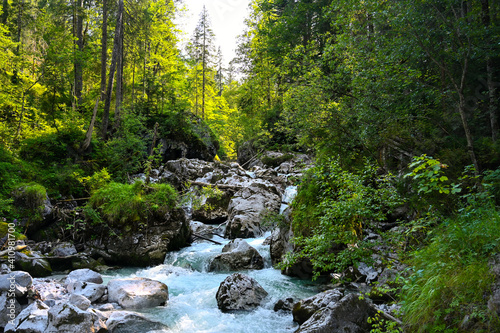 A mountain river surrounded by green forest during summer.