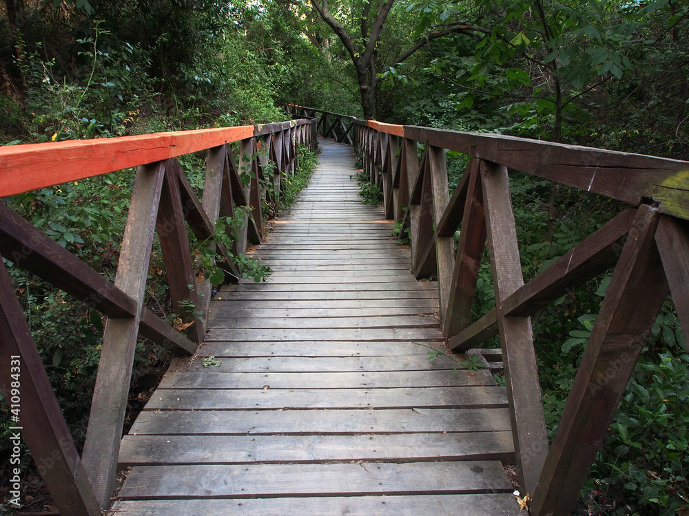 Wooden bridges in the mountains among thickets of trees and bushes. Wooden paths, the unity of nature and man.